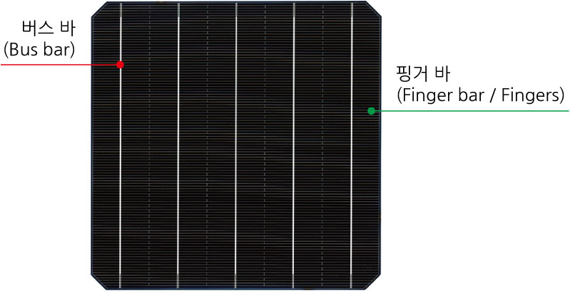 버스바-핑거바.jpg